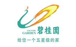 碧桂園-美聯(lián)伙伴